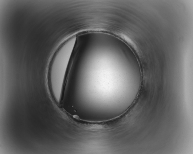 X0000088441085200706121504