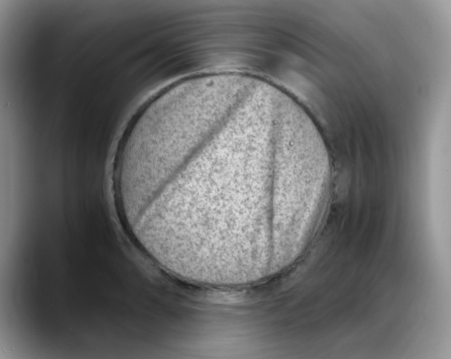 X0000088441086200706121504