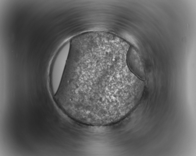 X0000088441087200706121504