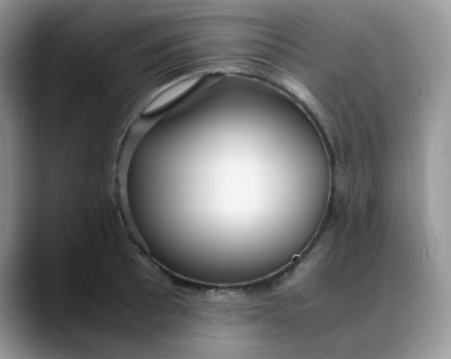 X0000088441089200706121504