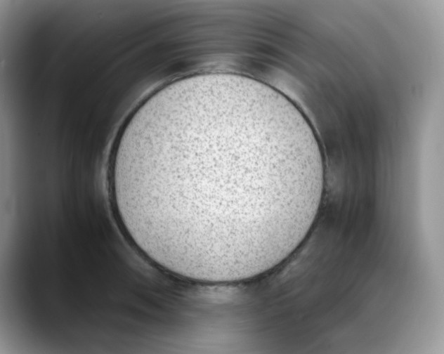 X0000088441090200706121504