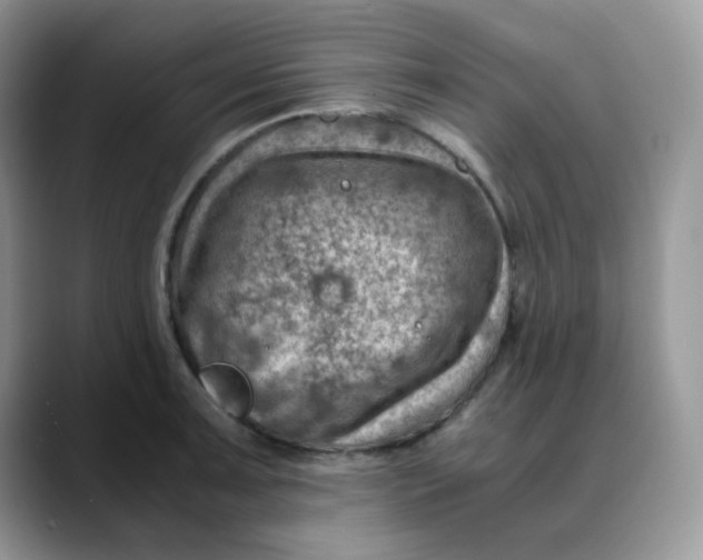 X0000088441091200706121504