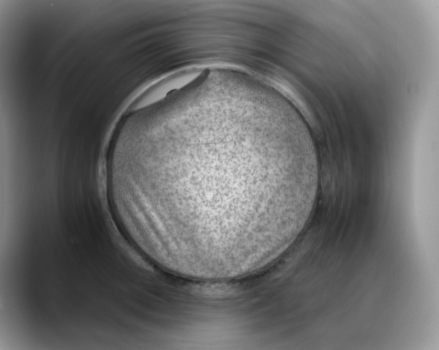 X0000088441092200706121504