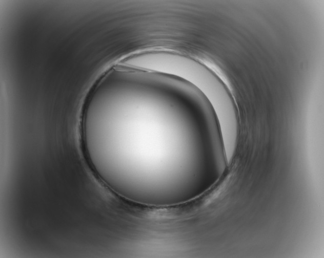 X0000088441093200706121504