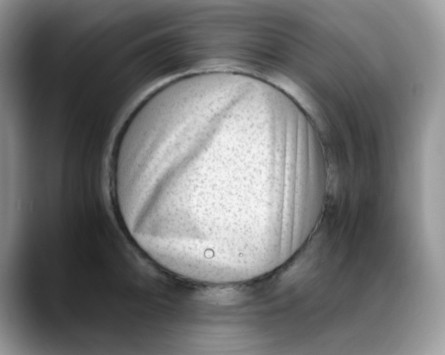 X0000088441094200706121504