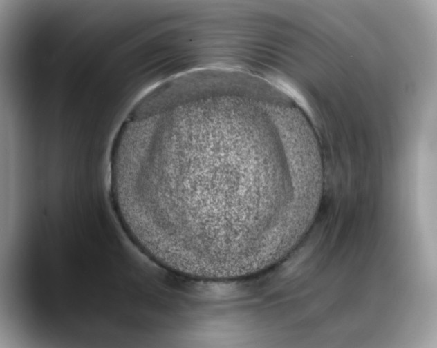 X0000088441095200706121504