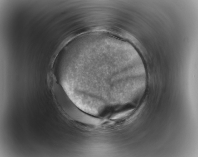 X0000088441097200706121504