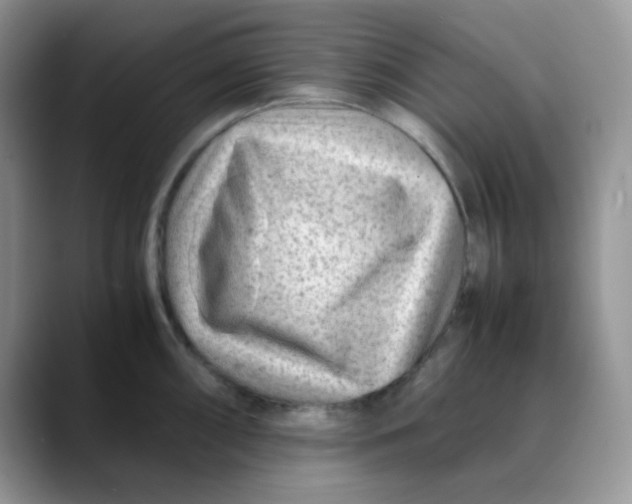 X0000088441098200706121504