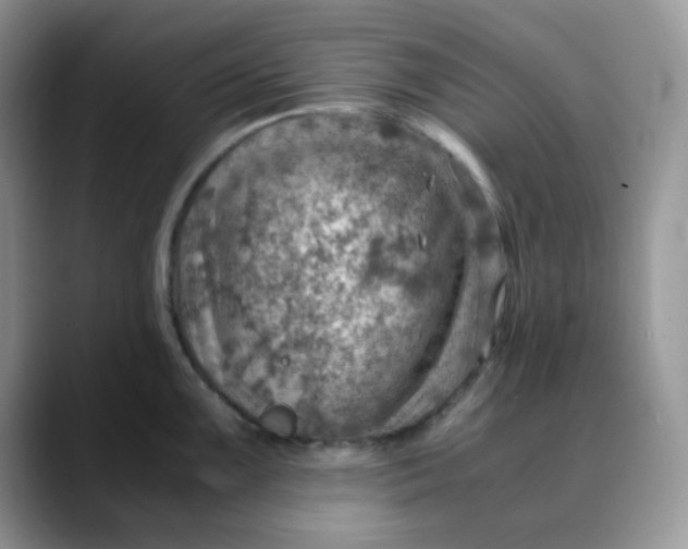 X0000088441099200706121504