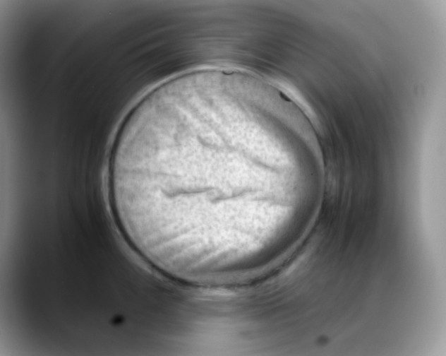 X0000088441100200706121504