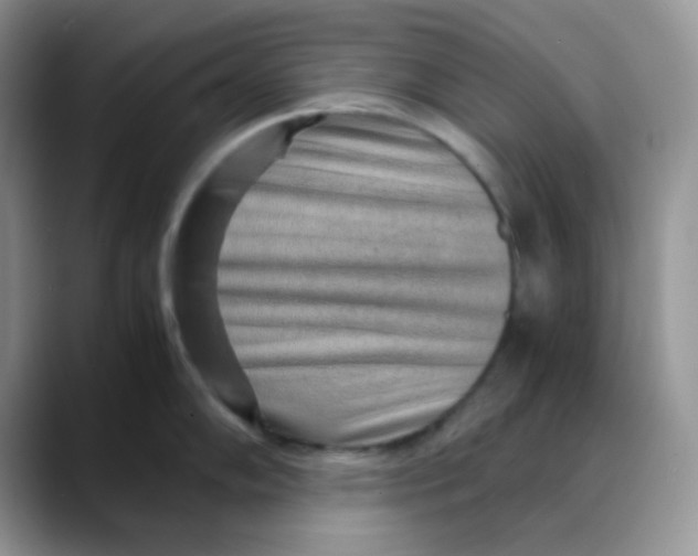 X0000088441102200706121504