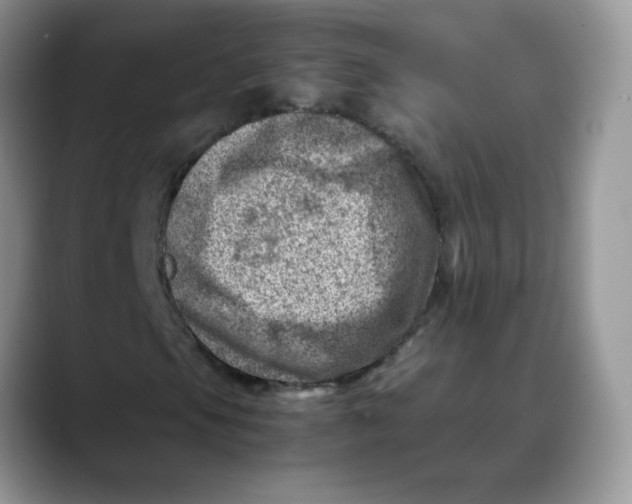 X0000088441105200706121503