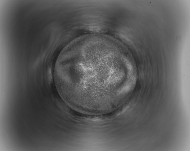 X0000088441106200706121503