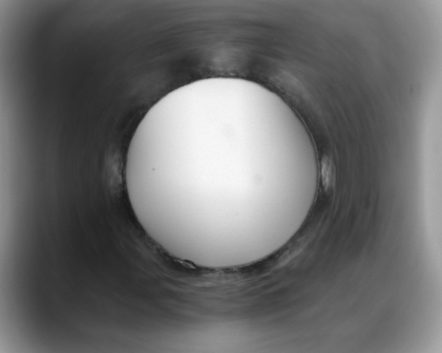 X0000088441107200706121503