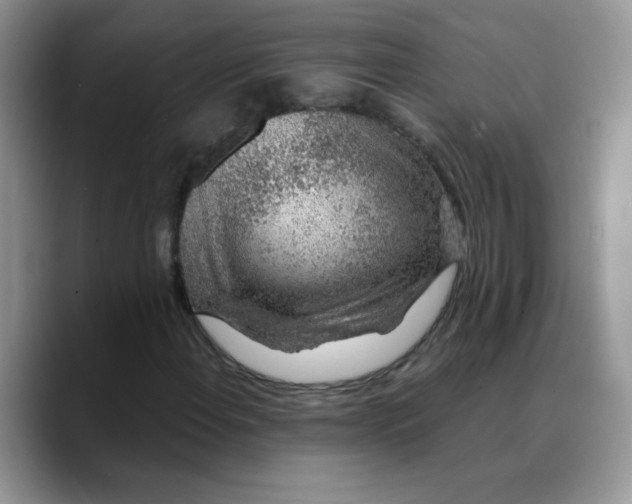X0000088441108200706121503