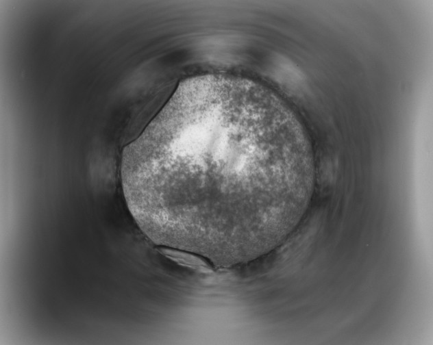 X0000088441110200706121503