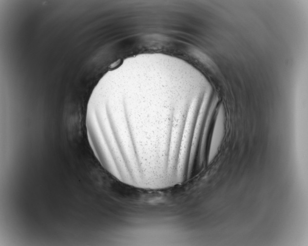 X0000088441111200706121503