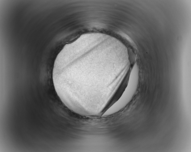 X0000088441112200706121503