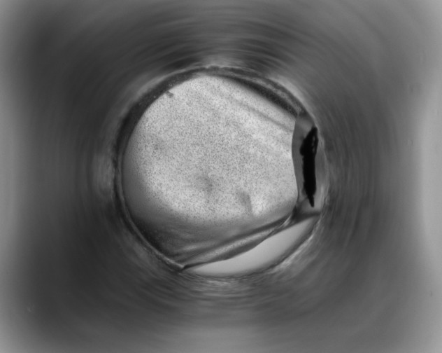 X0000088441115200706121504