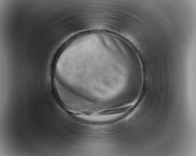 X0000088441118200706121504