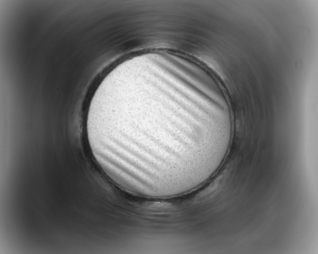 X0000088441119200706121504