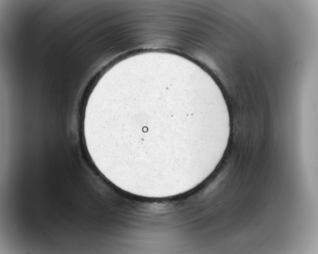 X0000088441122200706121504