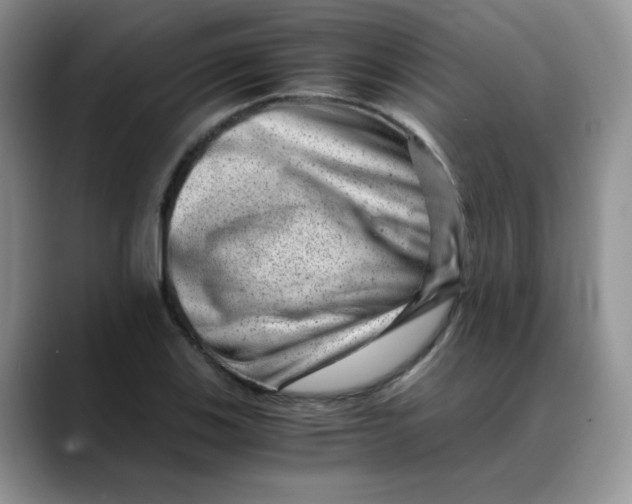 X0000088441123200706121504