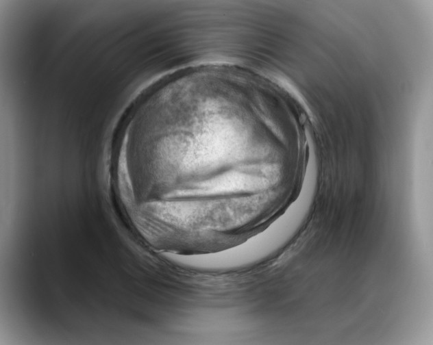 X0000088441124200706121504