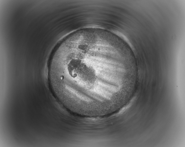 X0000088441125200706121504