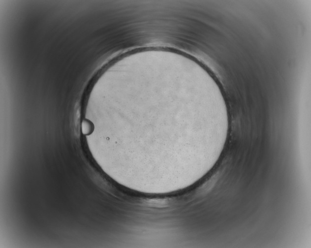 X0000088441126200706121504