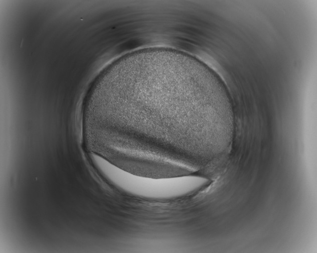 X0000088441127200706121504