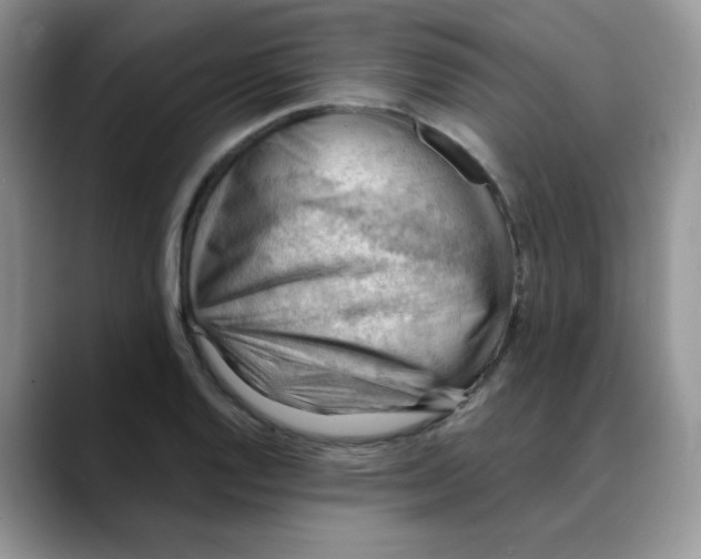 X0000088441128200706121504