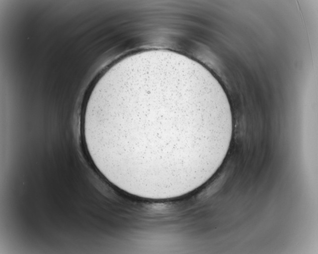 X0000088441130200706121504