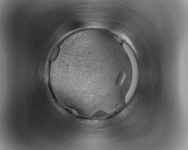 X0000088441132200706121504