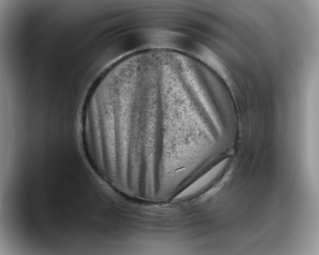 X0000088441133200706121504