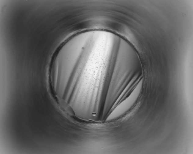 X0000088441134200706121504