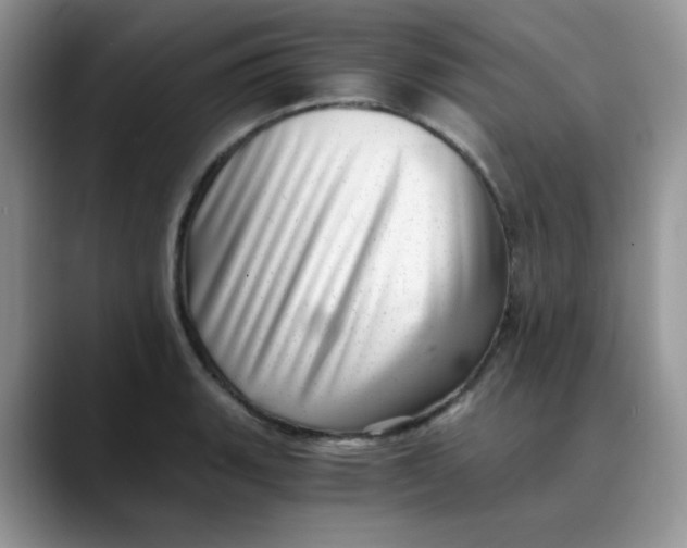 X0000088441135200706121504