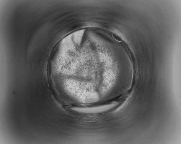 X0000088441137200706121504