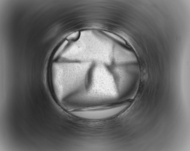 X0000088441139200706121504