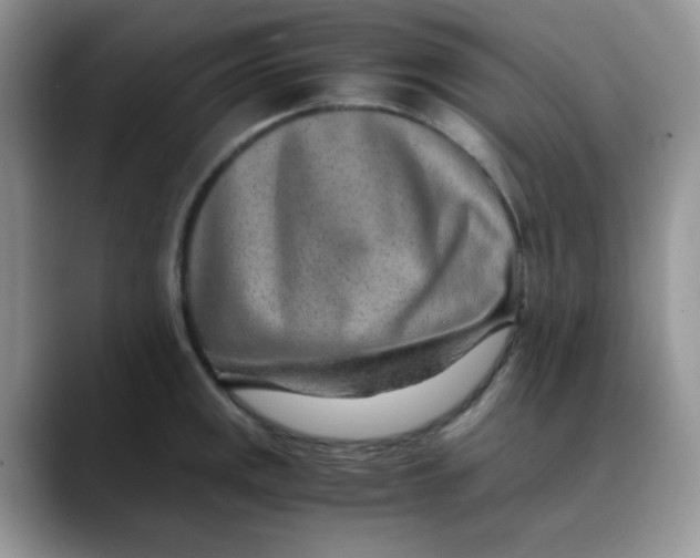 X0000088441141200706121504