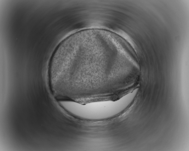 X0000088441142200706121504
