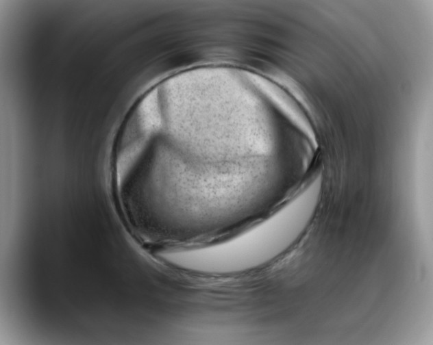 X0000088441143200706121504