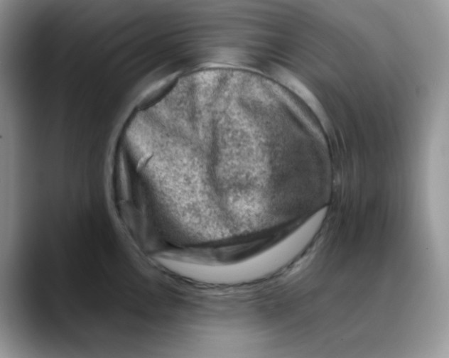 X0000088441146200706121504