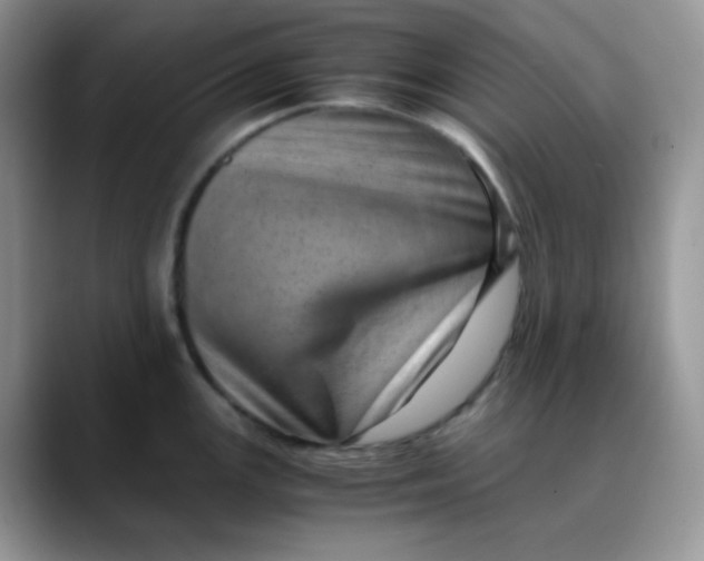 X0000088441147200706121504