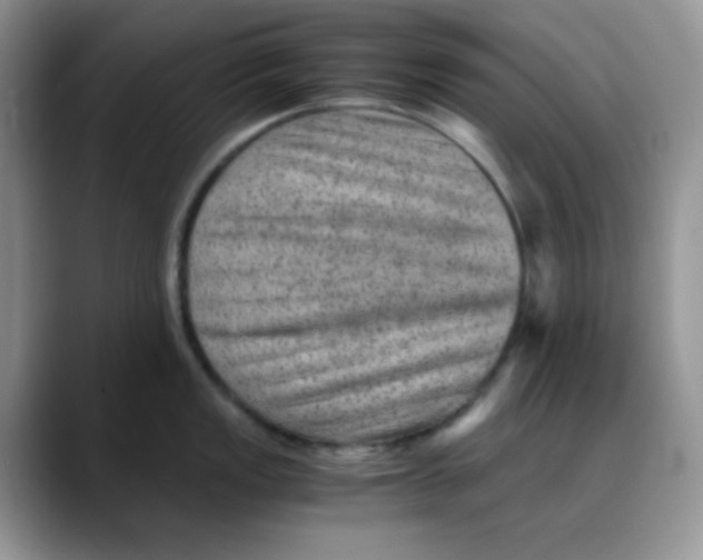 X0000088441149200706121504