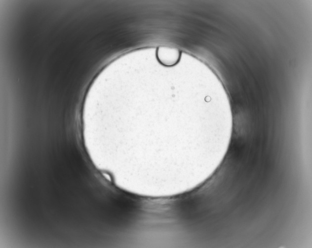 X0000088441150200706121504