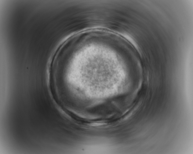 X0000088441151200706121504