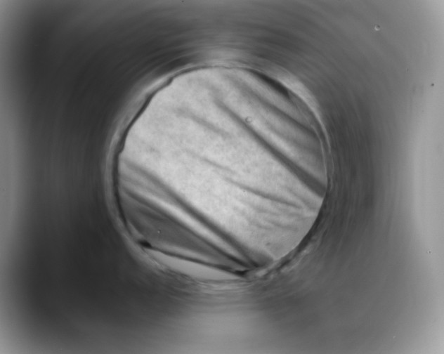 X0000088441152200706121504