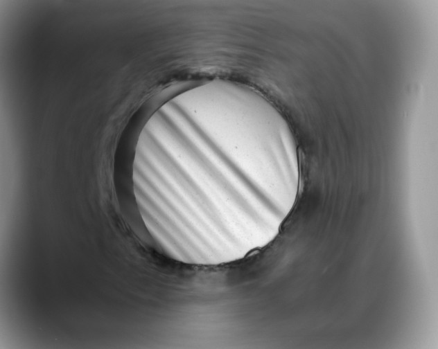 X0000088441153200706121503