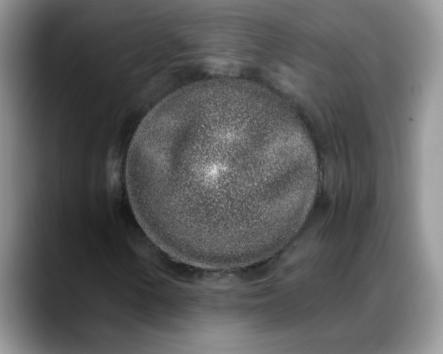 X0000088441154200706121503